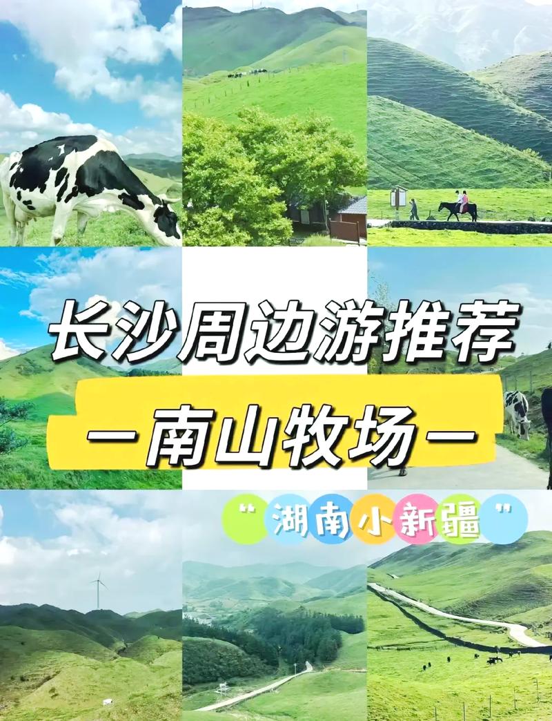 邵阳南山牧场旅游攻略，如何规划一次完美的旅行体验？-图1