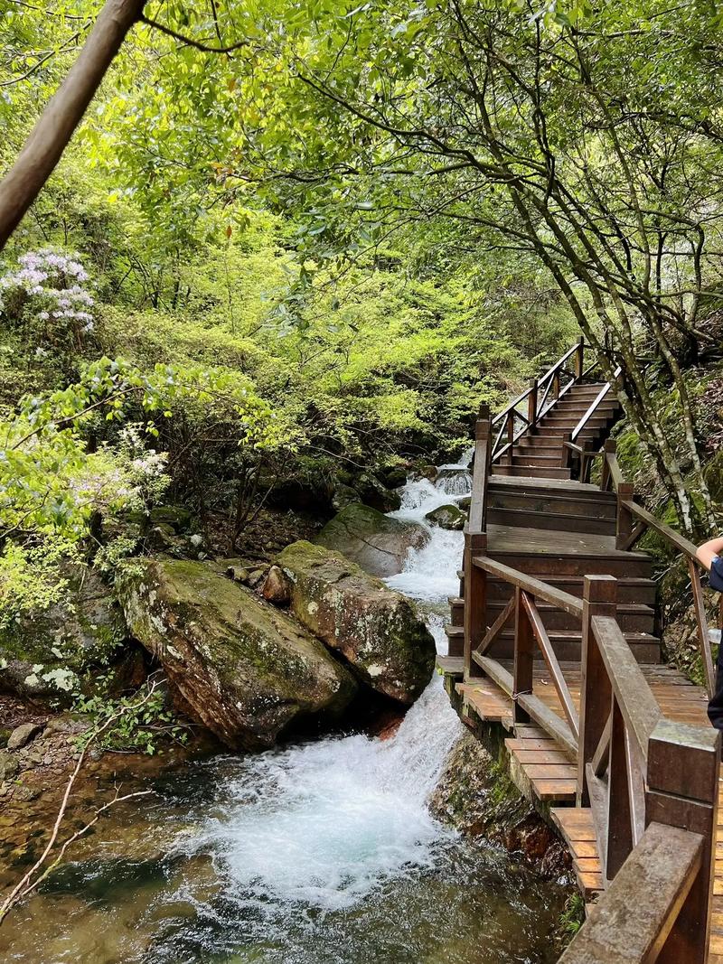 衢州药王山旅游攻略，如何规划一次完美的旅行体验？-图1