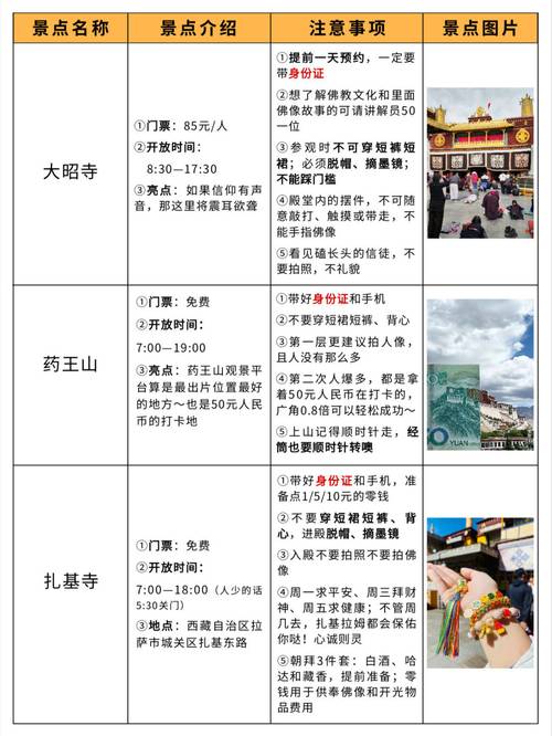 春节去拉萨旅游，有哪些攻略和注意事项？-图3