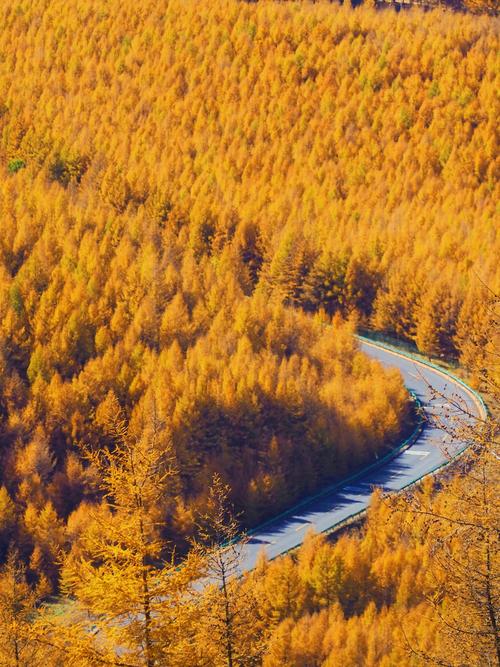 如何制定完美的桦皮岭景区旅游攻略？-图2