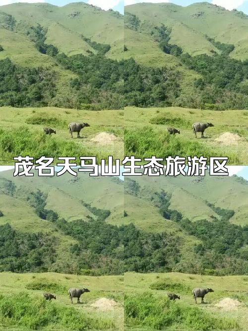 信宜天马山旅游攻略，如何规划一次完美的旅行体验？-图2