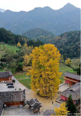 芦山县大川镇有哪些值得一游的景点？-图1