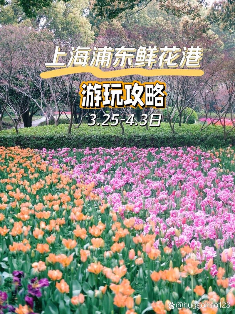 上海鲜花港旅游攻略，如何规划一次完美的赏花之旅？-图1