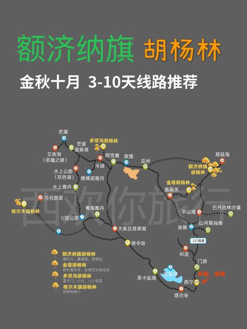 金塔旅游攻略，如何规划一次完美的金塔之旅？-图3