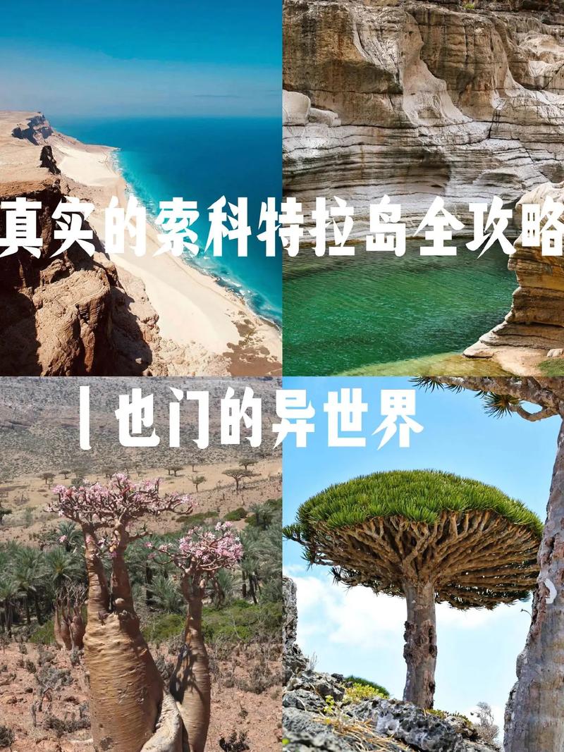 也门旅游攻略，探索这个神秘国度，有哪些必去景点和旅行建议？-图1