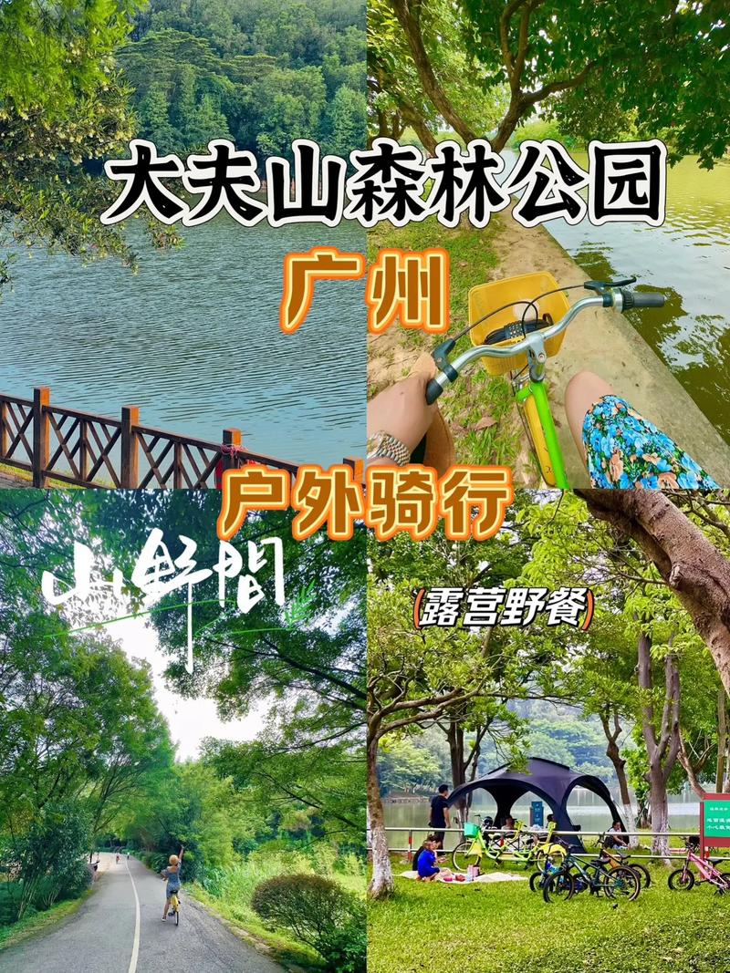 大夫山旅游攻略，如何规划一次完美的大夫山之旅？-图2