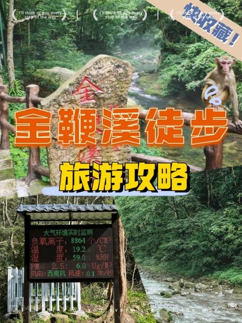 张家界金鞭溪旅游攻略，如何充分体验这条美丽溪流的魅力？-图3