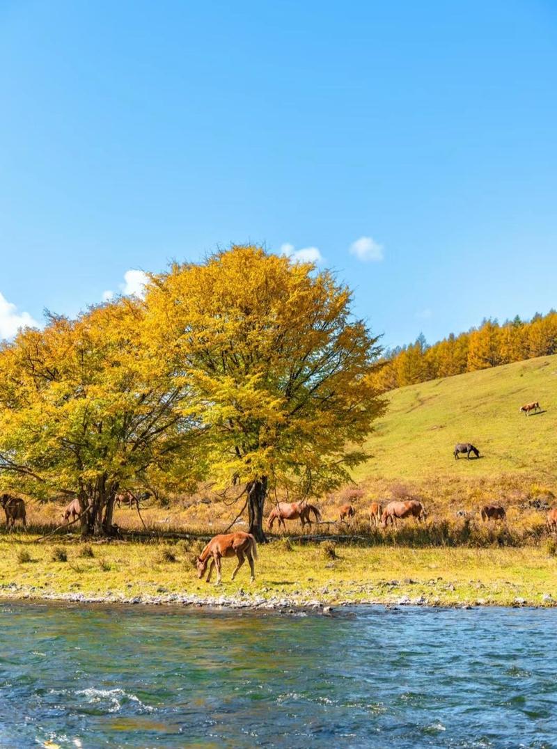 如何玩转大兴安岭地区？一份详尽的旅游攻略！-图3