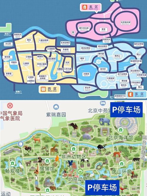 北京野生动物园旅游攻略，如何规划一次完美的游览体验？-图3