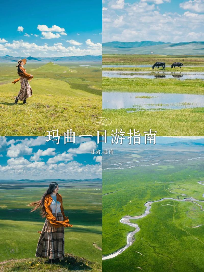 玛曲旅游攻略，如何规划一次完美的旅行体验？-图2