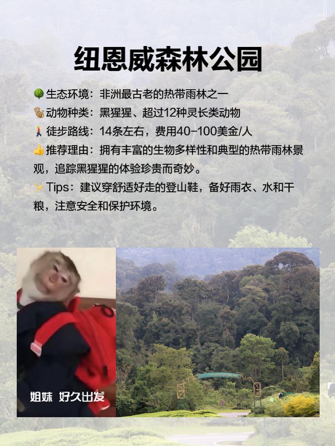 卢旺达旅游攻略，如何规划一次难忘的非洲之旅？-图1