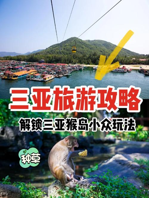 猴岛旅游攻略，如何规划一次难忘的猴岛之旅？-图2