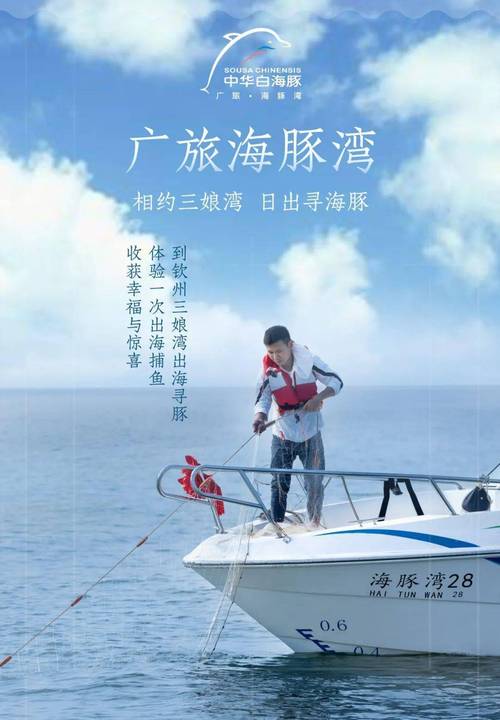 钦州湾旅游攻略，如何玩转这片美丽的海滨之地？-图3