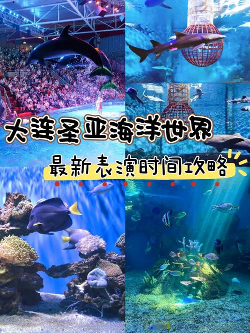 大连圣亚旅游攻略，如何玩转这座海洋主题公园？-图2