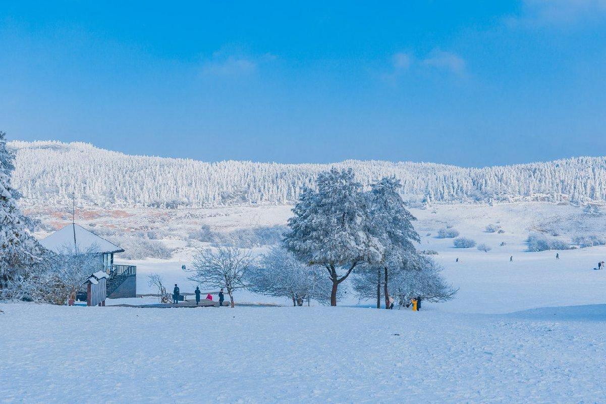 冬天去仙女山旅游，有哪些攻略和注意事项？-图2