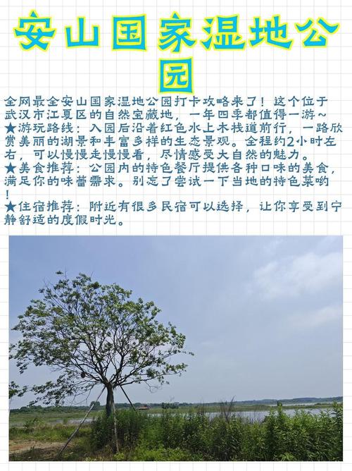 安山湿地公园旅游攻略，如何规划一次完美的游览体验？-图1