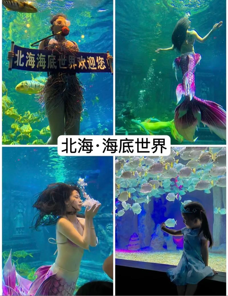 北海海底世界有哪些不容错过的旅游亮点？-图3