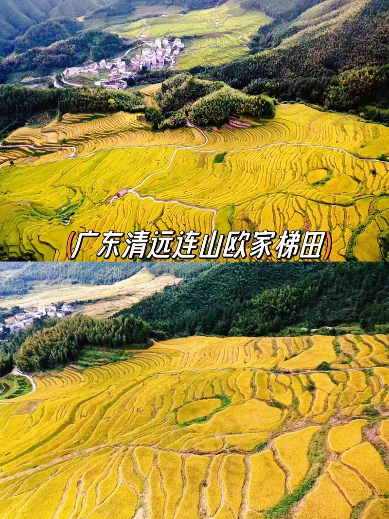 连山欧家梯田旅游攻略，如何规划一次完美的旅行体验？-图1