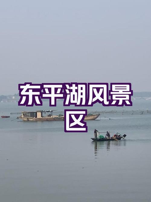 东平湖风景区旅游攻略，如何规划一次完美的旅行体验？-图3