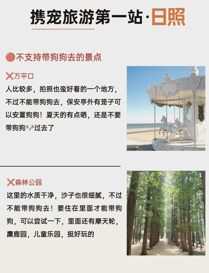 带狗旅游攻略，如何确保旅途愉快且安全？-图1