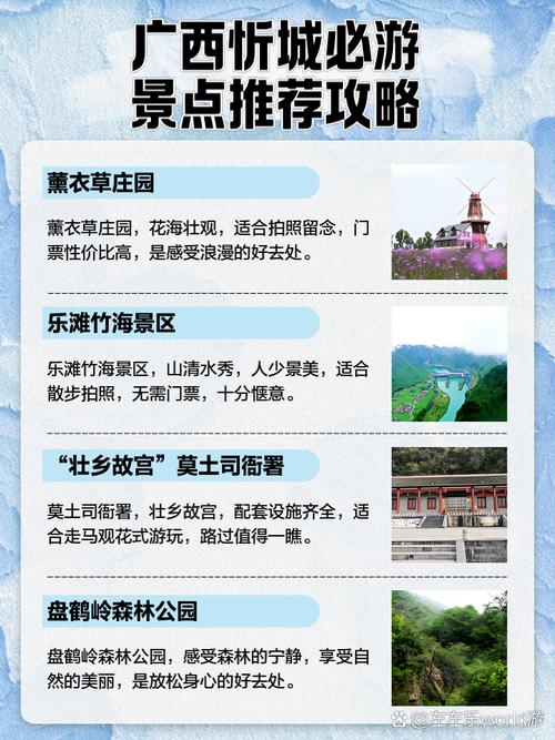 忻城旅游攻略，如何规划一次完美的旅行体验？-图2