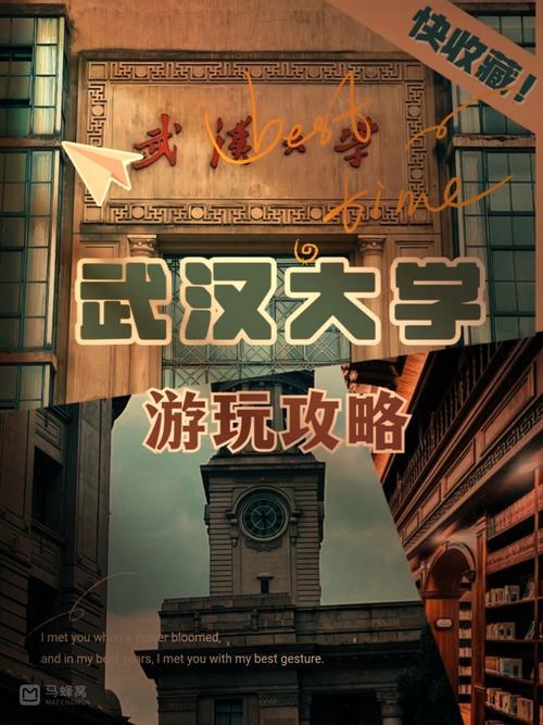 武大旅游攻略，如何玩转武汉大学，尽享校园美景与文化？-图2