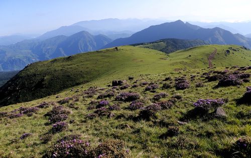 马边大风顶旅游攻略，如何规划一次完美的旅行体验？-图3