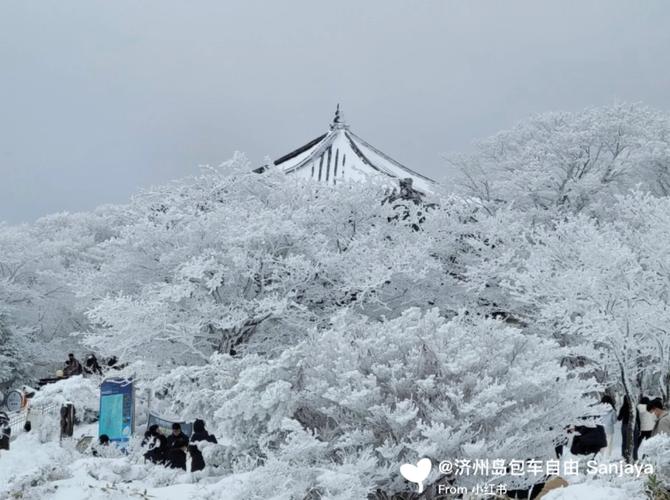 冬天去济州岛旅游，有哪些必看的景点和活动推荐？-图3