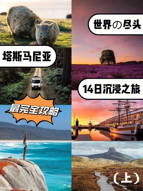 探索澳洲塔斯马尼亚，一份全面的旅游攻略指南，你准备好了吗？-图2