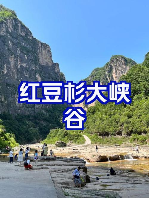 红豆杉大峡谷旅游攻略，如何规划一次完美的探险之旅？-图1