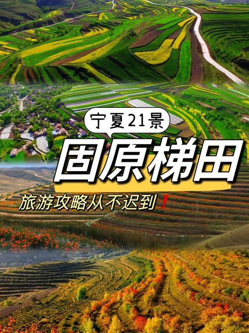 彭阳旅游攻略，探索这座魅力之城的最佳路线是什么？-图1