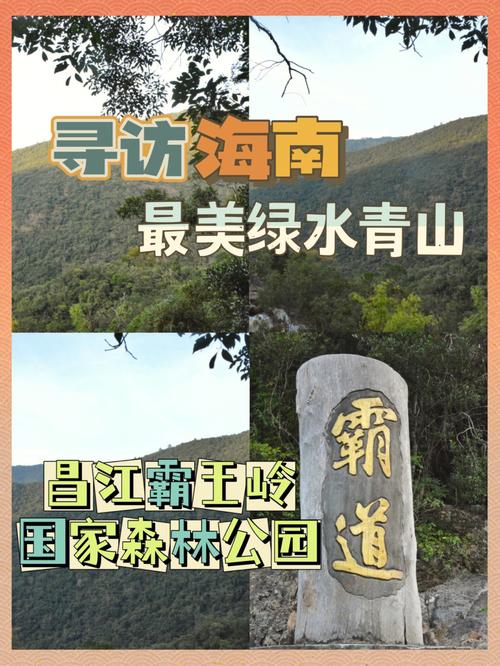 霸王岭旅游攻略，如何规划一次完美的旅行体验？-图2