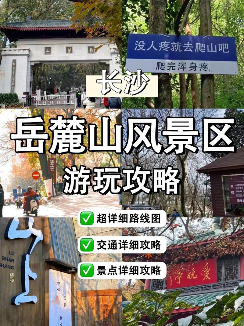 半天时间如何畅游岳麓山？——岳麓山半天旅游攻略-图3