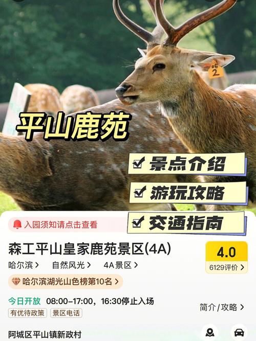 平山鹿苑旅游攻略，如何规划一次完美的旅行体验？-图3