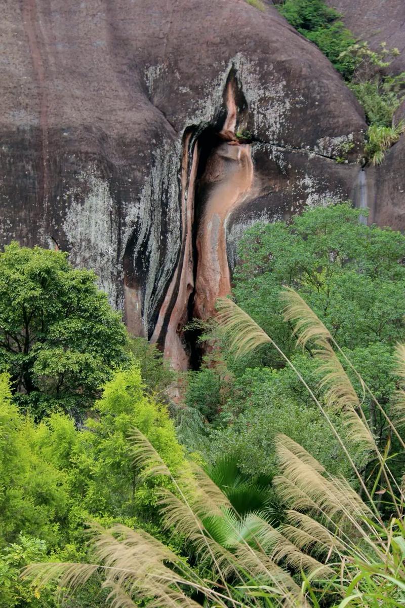 郴州飞天山旅游攻略，如何规划一次完美的旅行体验？-图3