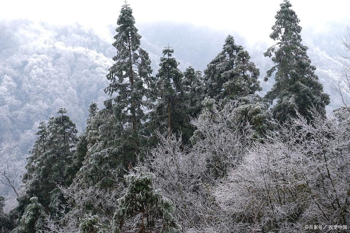 雷公山旅游攻略，如何规划一次完美的旅行体验？-图2