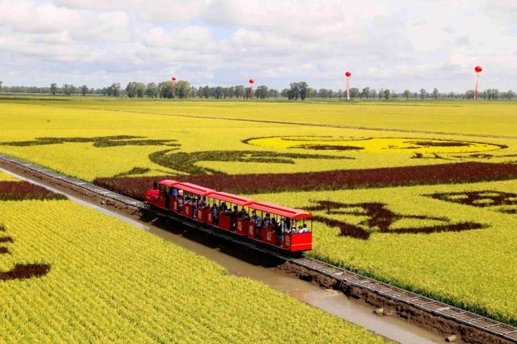 北大荒旅游攻略，如何规划一次难忘的旅行体验？-图2