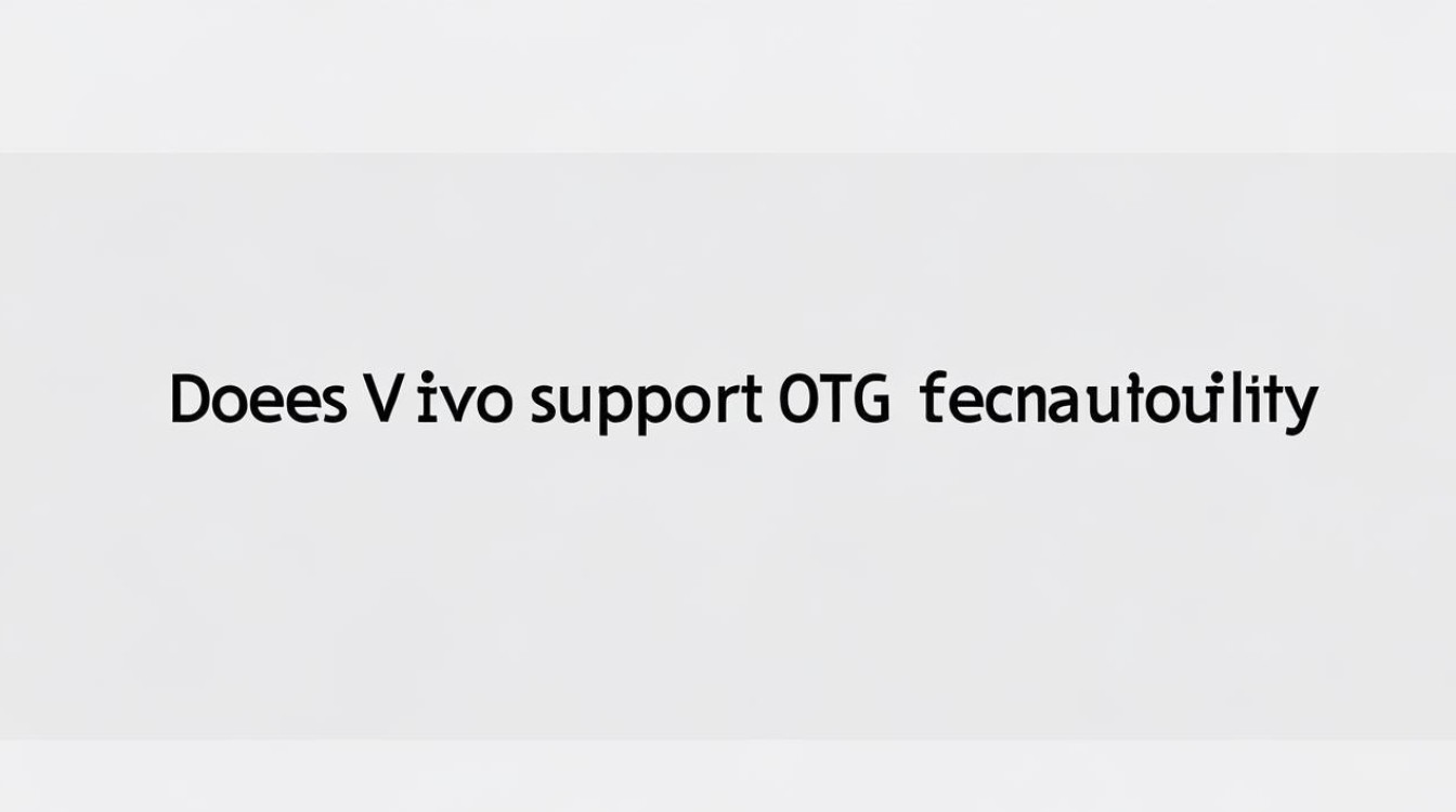vivo支持otg功能吗
