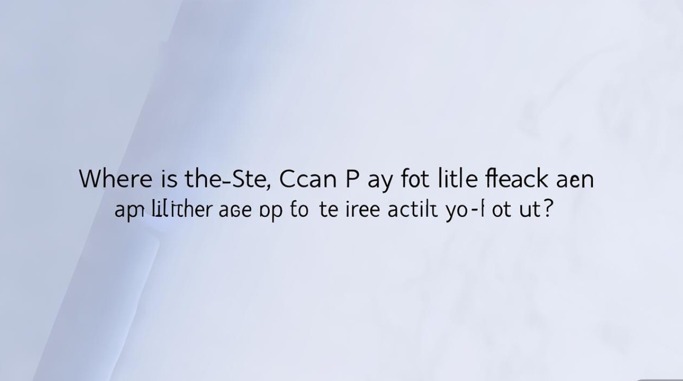 小黑鱼扫码付功能在哪开？开通步骤是什么？