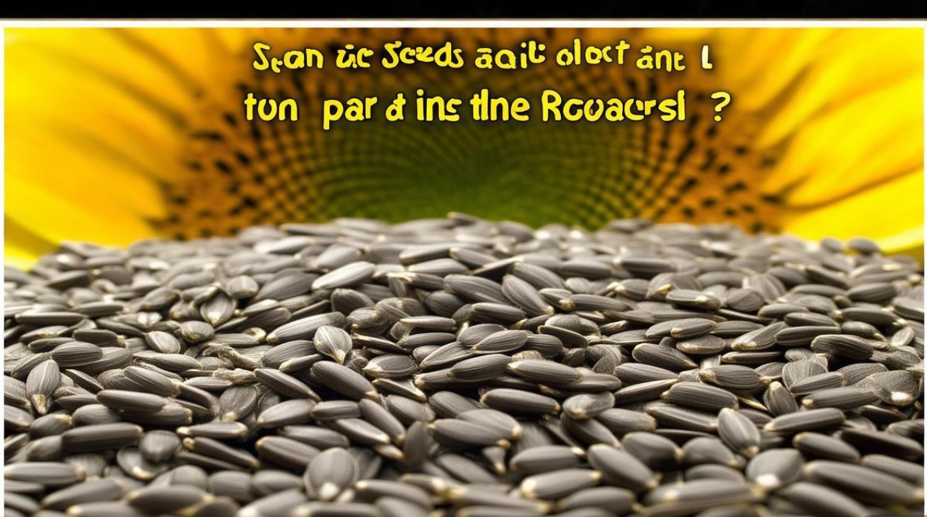 葵花籽是向日葵的什么？蚂蚁庄园11月29日答案揭秘