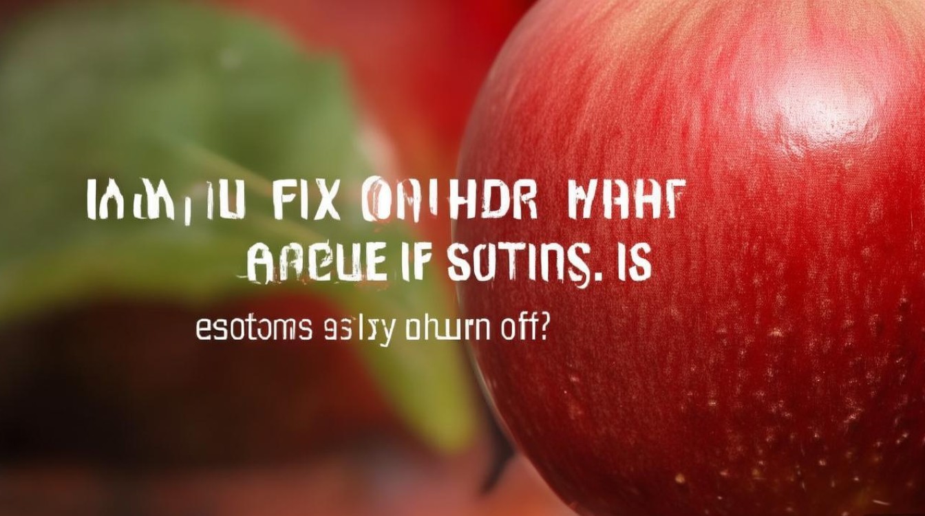 苹果HDR怎么固定？设置后自动关闭怎么办？