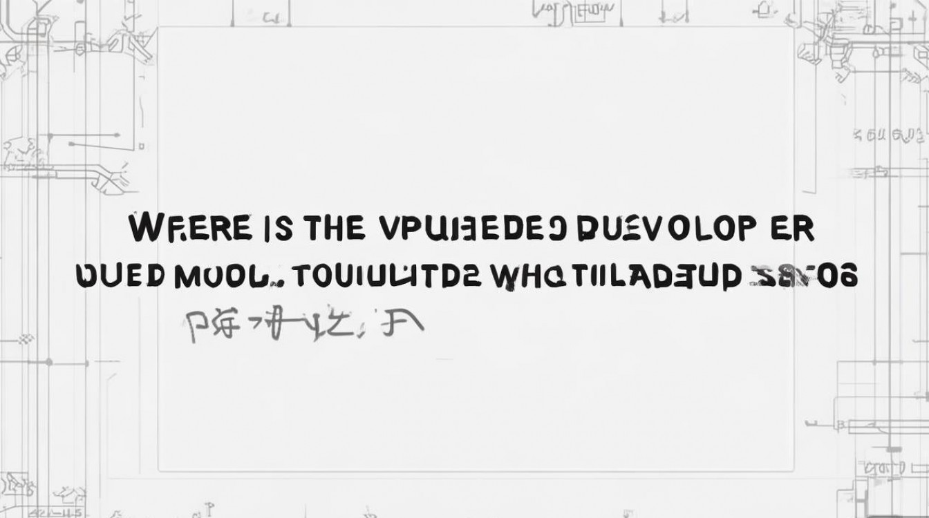 vivo手机开发者模式在哪里开启?详细步骤是什么?