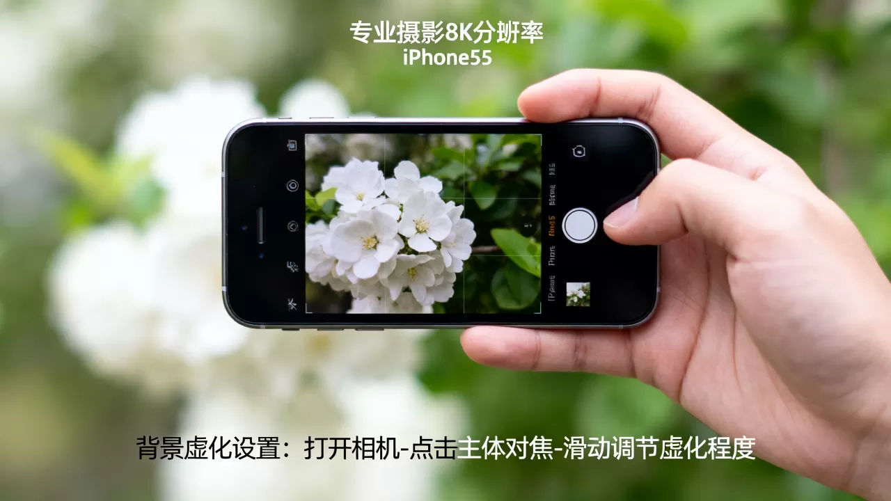 iPhone5s拍照怎么虚化,iPhone5s拍照背景虚化方法 iPhone5s拍照怎么虚化,iPhone5s拍照背景虚化方法