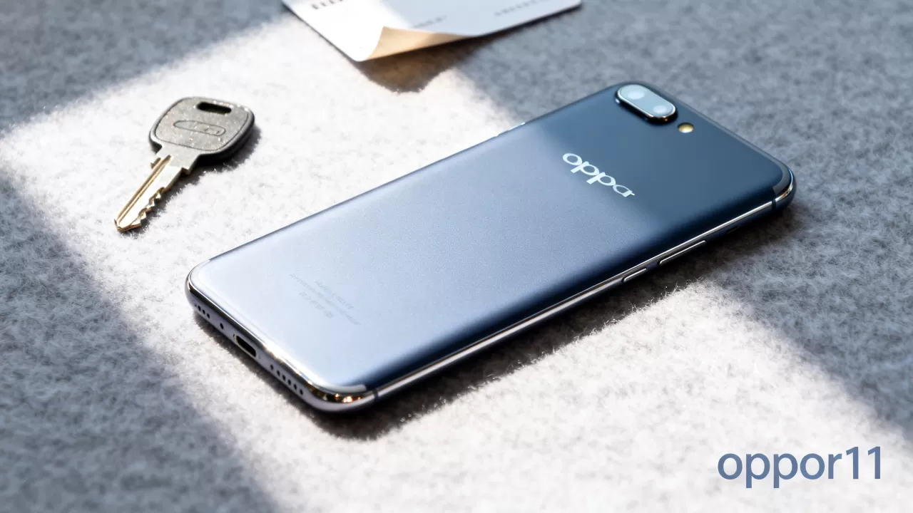 oppor11照亮什么,oppor11闪光灯不亮 oppor11照亮什么,oppor11闪光灯不亮