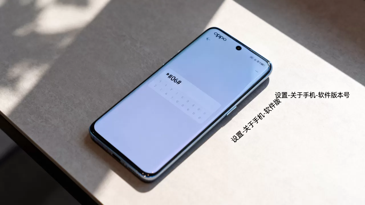 oppo输入什么能进去了，oppo手机隐藏功能入口