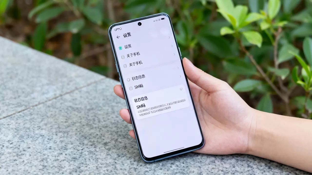 oppo手机sm码是什么意思啊,oppo手机sm码查询方法 oppo手机sm码是什么意思啊,oppo手机sm码查询方法