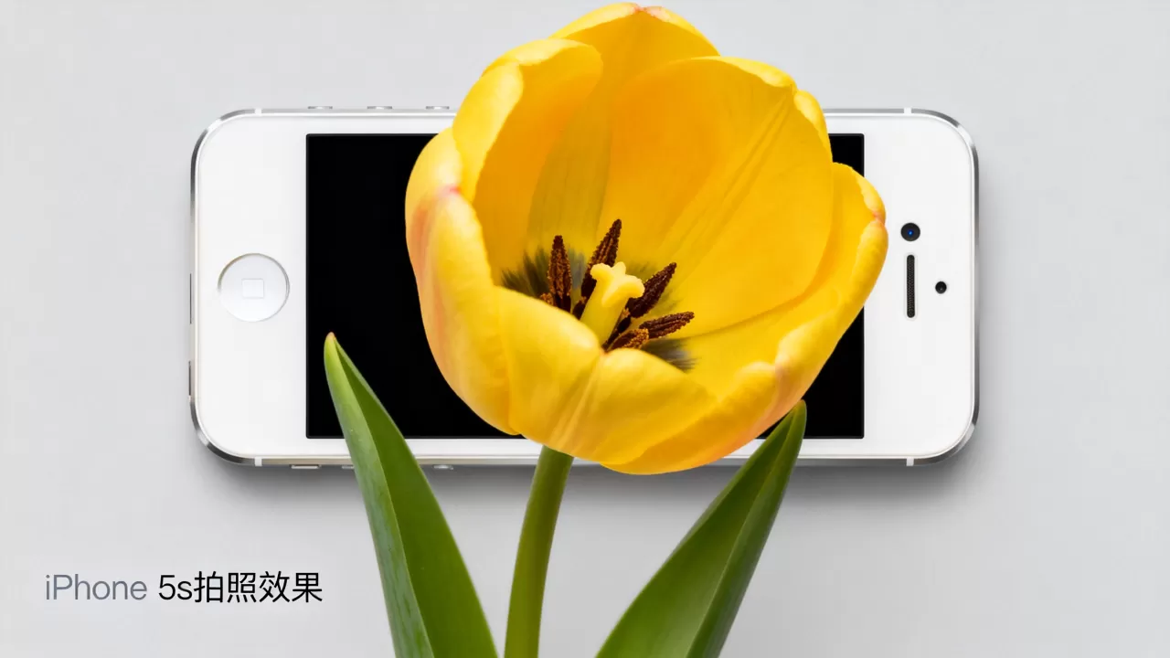 iphone5s拍照效果如何，iphone5s拍照