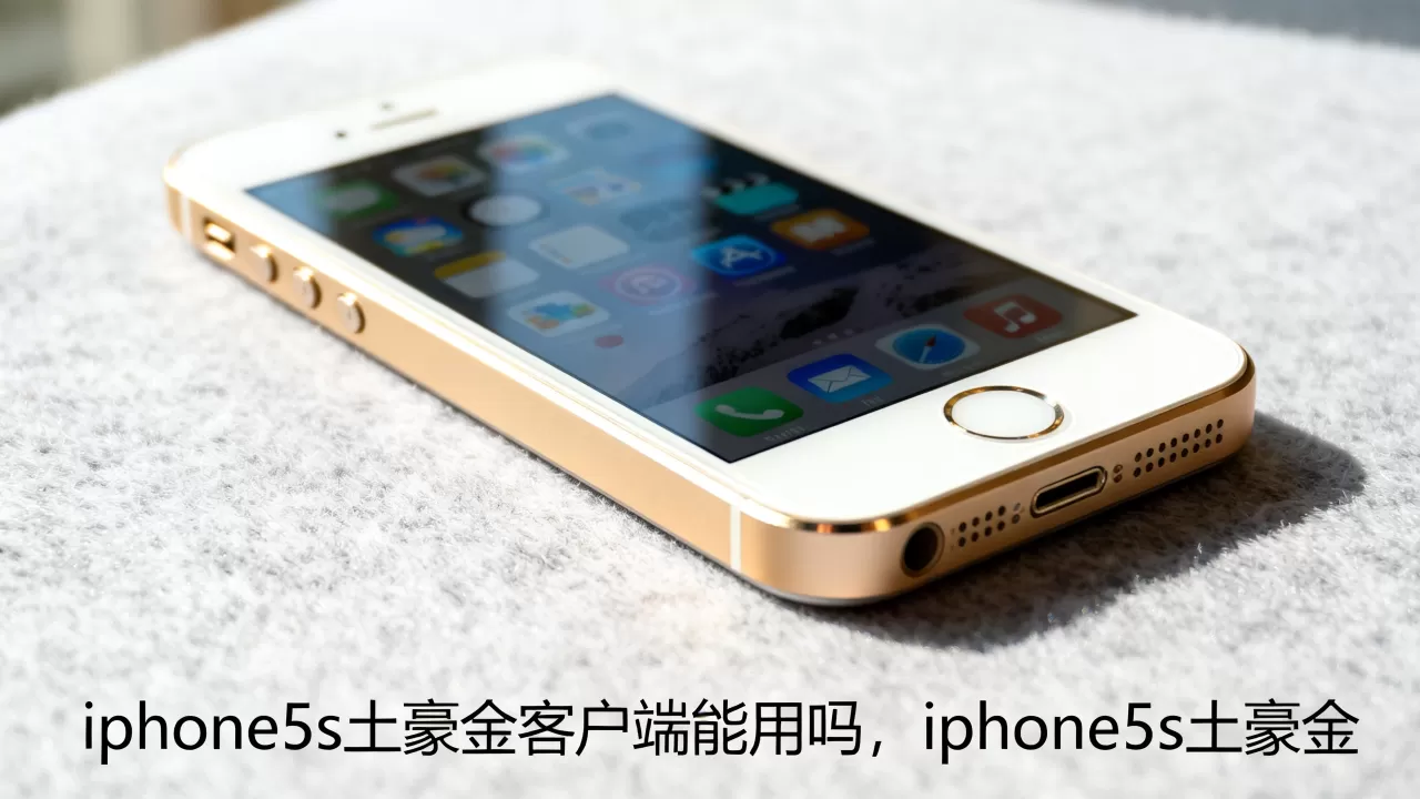 iphone5s土豪金客户端能用吗，iphone5s土豪金