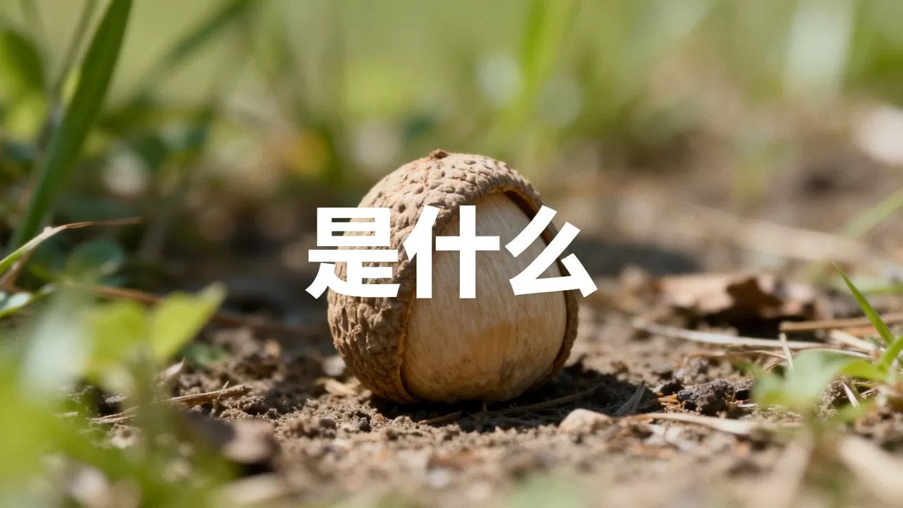 {md5格式的刷机包}是什么，{md5格式的刷机包}