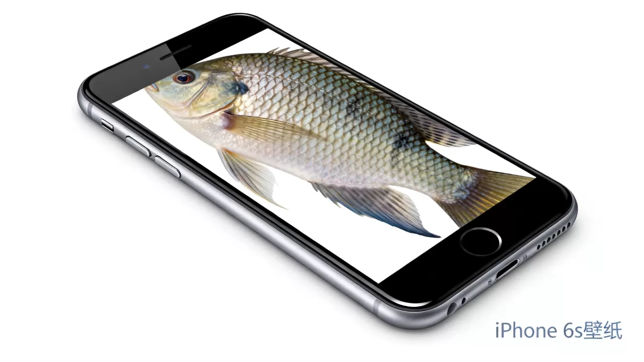 iPhone 6s高清鱼壁纸下载,iPhone 6s手机壁纸 iPhone 6s高清鱼壁纸下载,iPhone 6s手机壁纸